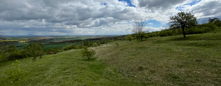 Vyhlašujeme výzvy v Programu péče o krajinu 2026