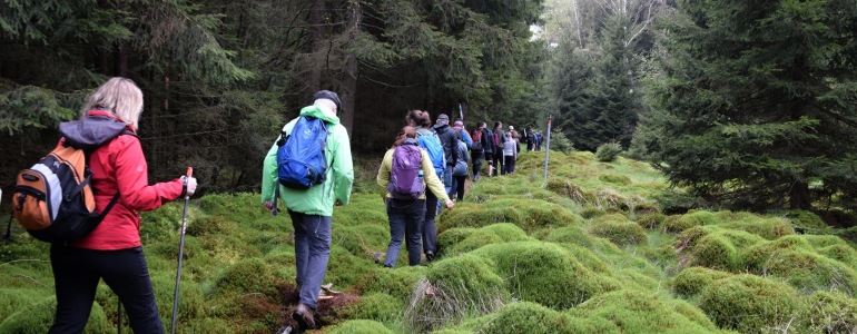 Skupinka turistů jde v řadě lesní pěšinou.