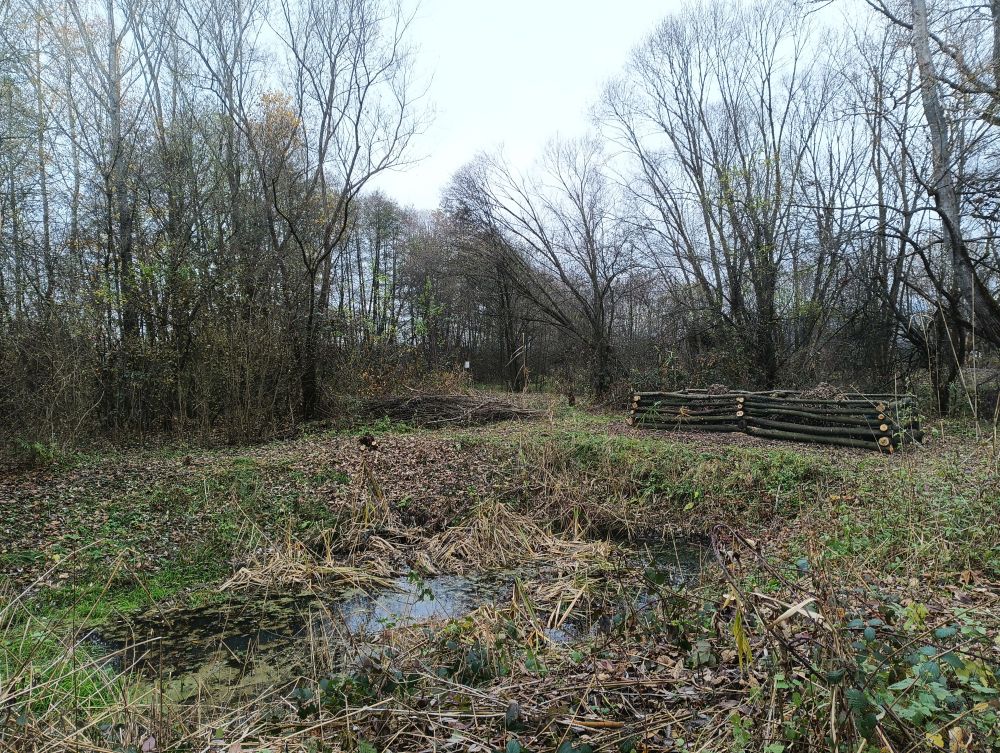 Plazníky v PP Rákosina ve Stříteži n. B.