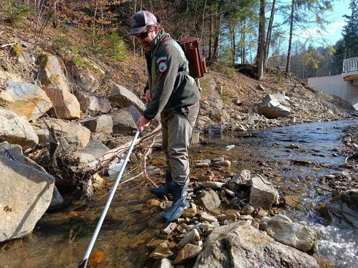 rybář a strážce přírody provádí odlov ryb elektrickým agregátem