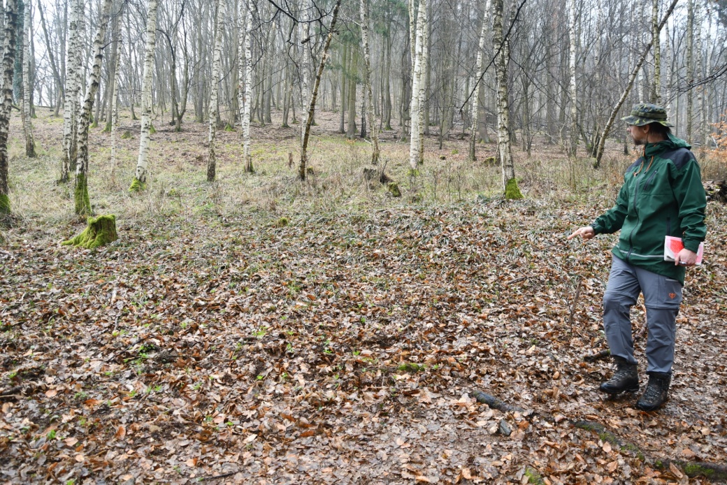 Pracovník Agentury ochrany přírody a krajiny ČR sčítá kandík na monitorovací ploše.