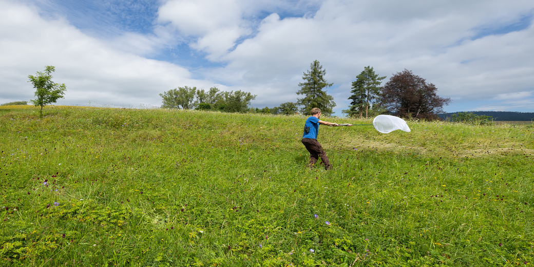 odchyt motýlů foto Peter Drengubiak