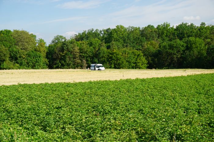 Karavan