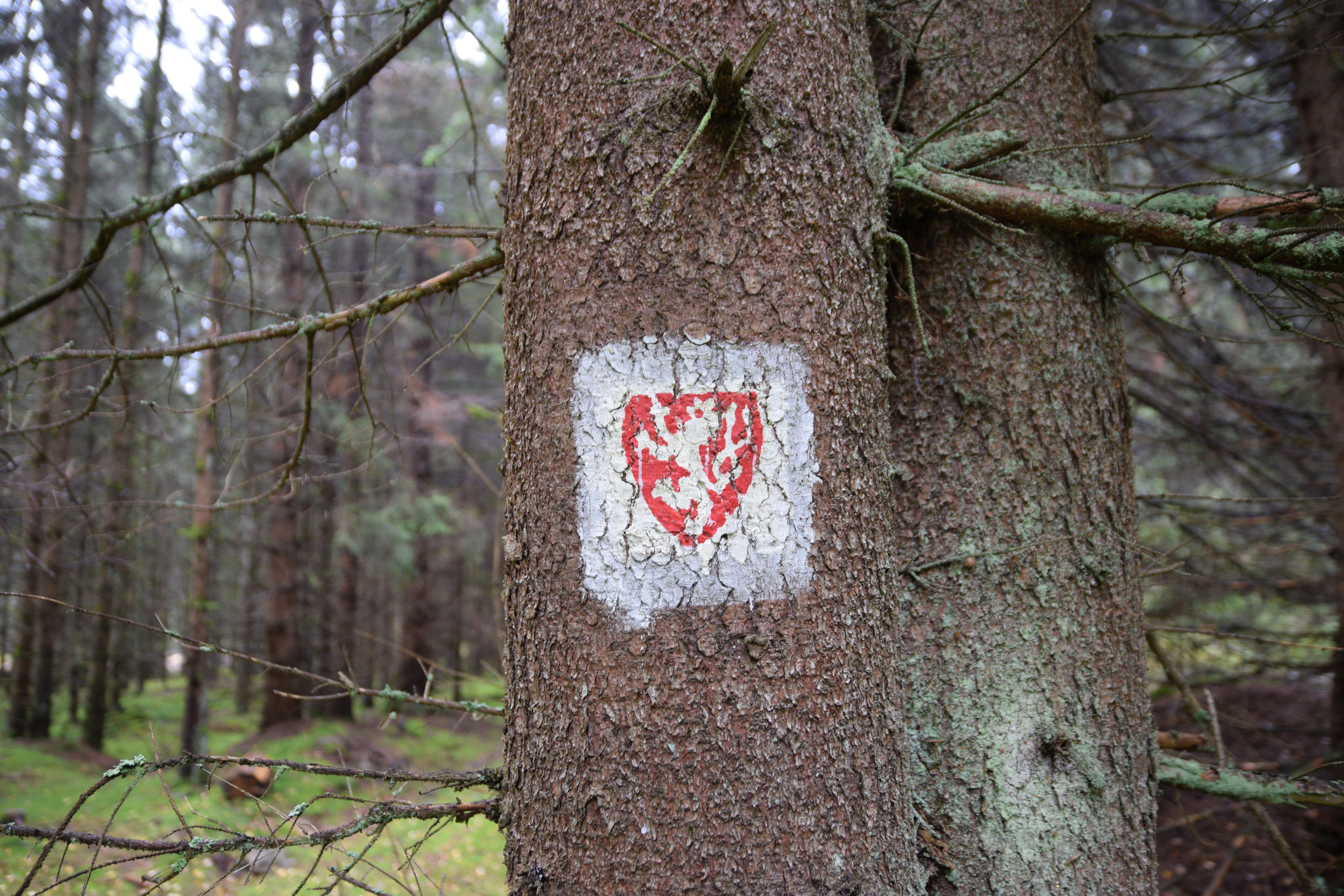 státní znak barvou na kmeni - státní hranice