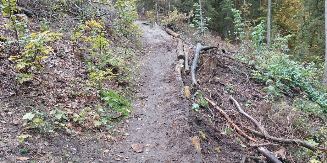 Akátové klády podél okraje svahu zabrání erozi způsobené průchodem turistů.