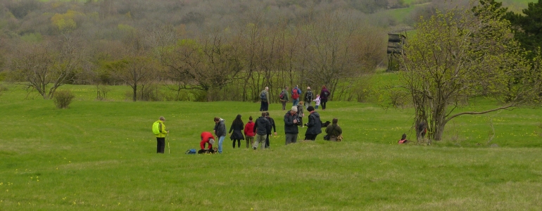 vycházka do přírody