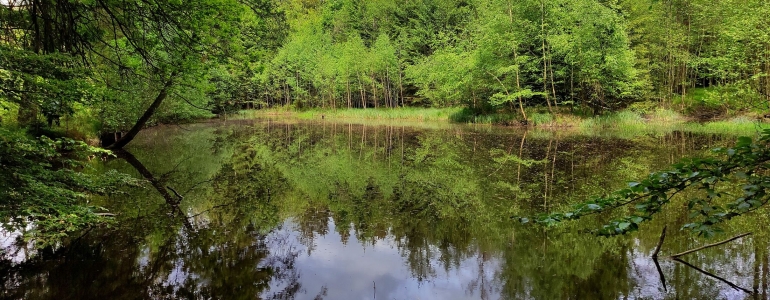 Ovčí rybník. Foto: Martin Rajf